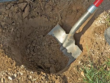 Improve sandy soil - spade digging soil