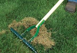 Perth Lawn Care for Spring