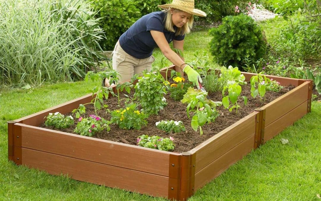 Raised Garden Bed being tended by a gardener