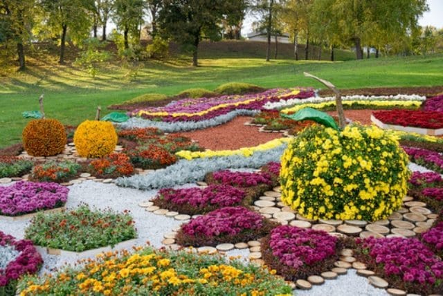 Creative Flower Bed Ideas for 2022
