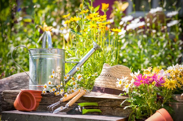 Gardening tips for Perth gardeners