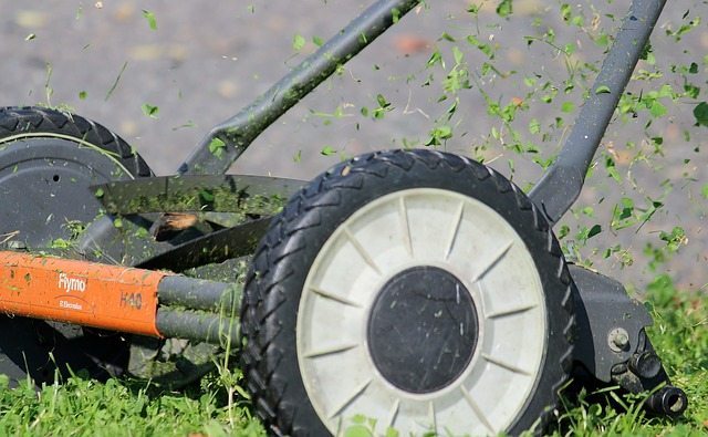 Lawn mower cutting grass