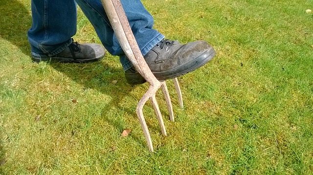 lawn aeration with pitchfork Perth