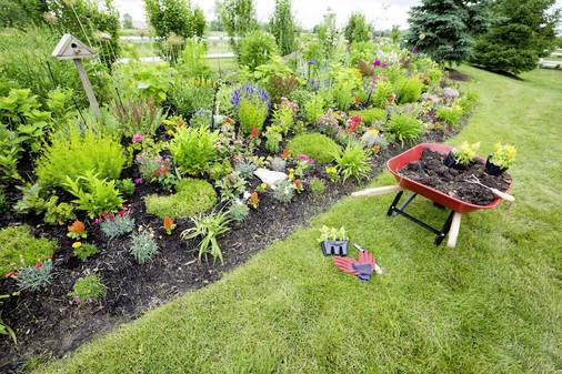 Flower Bed near lawn with red gloves and red wheel barrow