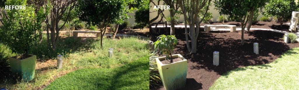 Before and After Backyard makeover - gardeners Perth