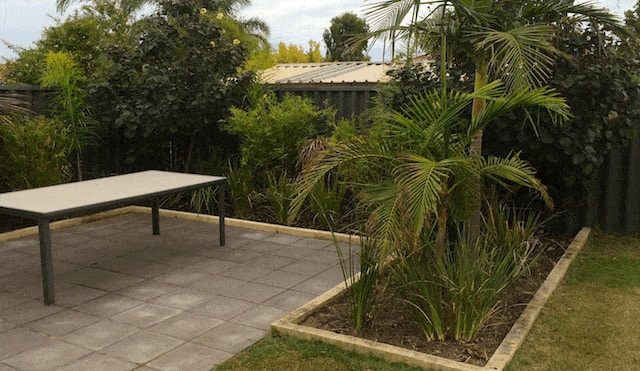 professional garden cleanup services in Perth