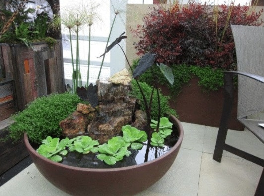 planting a large bowl with low maintenance