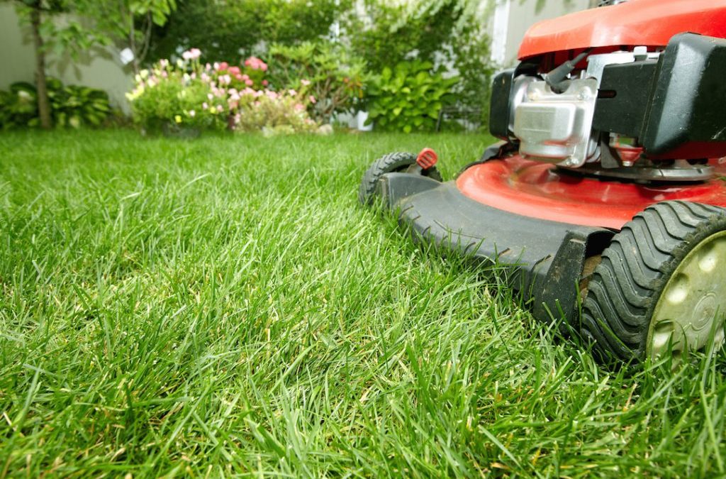 Benefits Of Hiring A Grass Cutting Service Simple Solutions