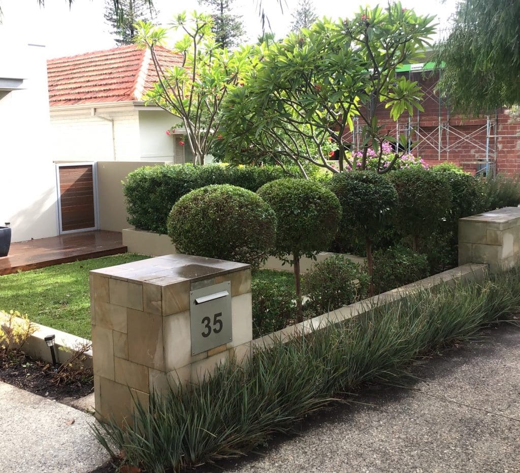 After view of Hedge Trimming by experts- Perth gardening