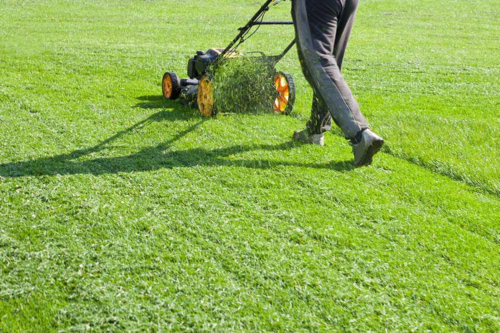 Lawn care Maintenance by Perth Gardening