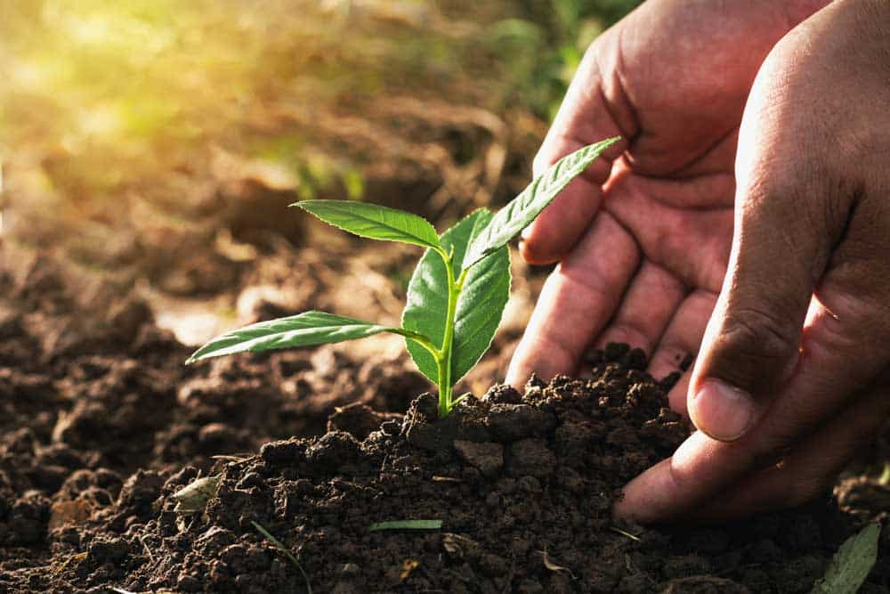 Soil Fertilising Services in Perth