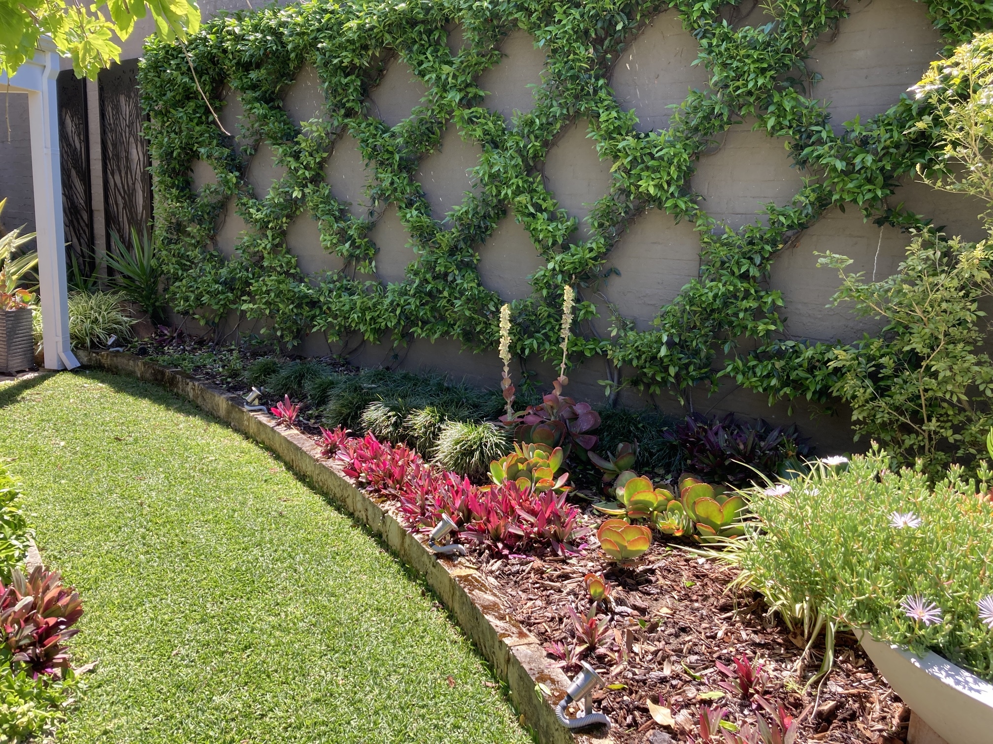 The Most Reliable Lawn Maintenance Services in Perth