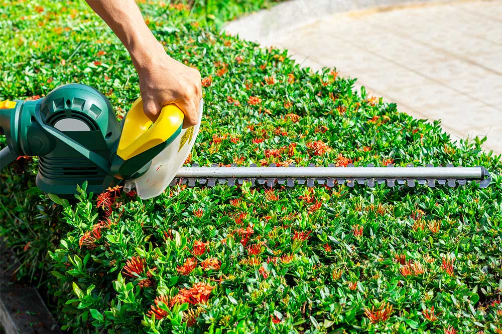 Hire professional hedge trimming services to keep your hedges healthy, perfectly shaped and beautiful