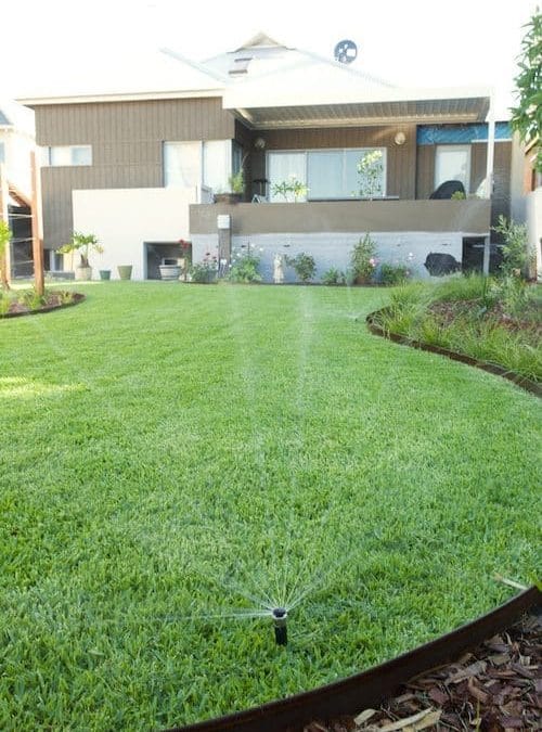How to take care of my new lawn in Perth?