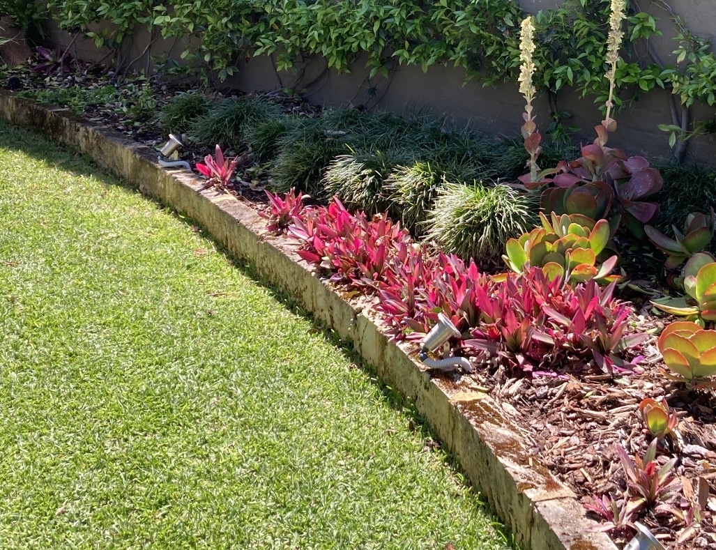 brick lawn edging healthy lawn mowing tips