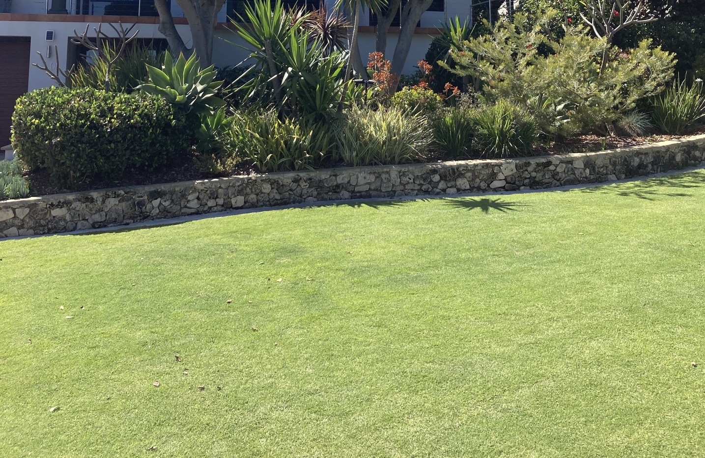 lawn mowing tips perth gardening experts