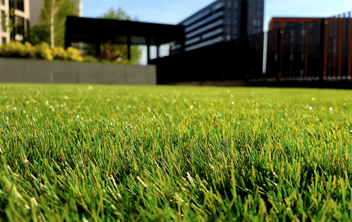 mown lawn perth gardening experts blog mowing tips