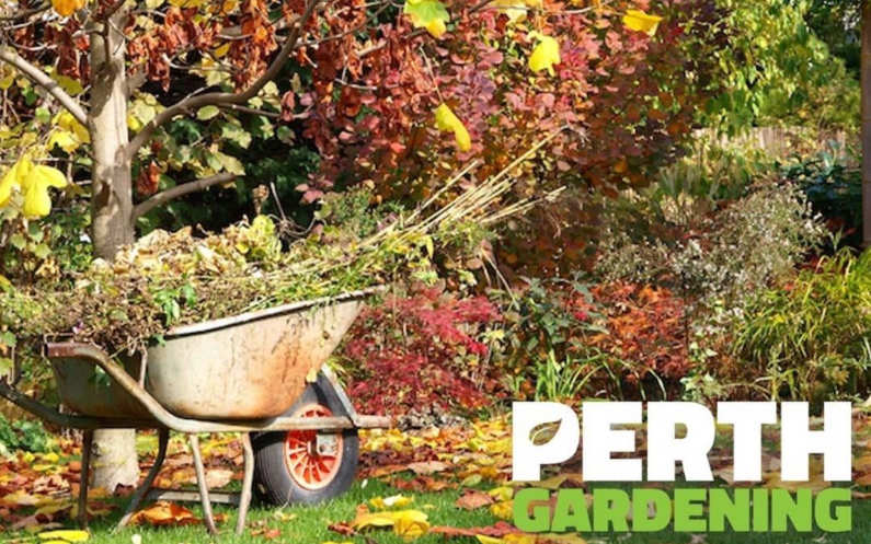 Autumn Lawn Care Tips for Perth - image of wheelbarroiw in garden with autumn foliage