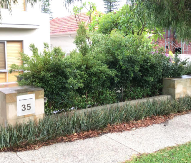 Hedge Trimming Perth-Before