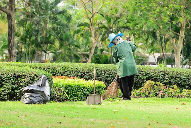 Lawn Mowing