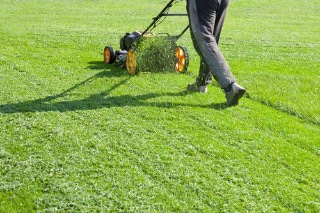 Perth Lawn Maintenance Services | Perth Gardeners