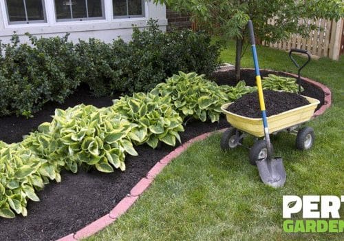 Advantages of Mulching your Garden Beds