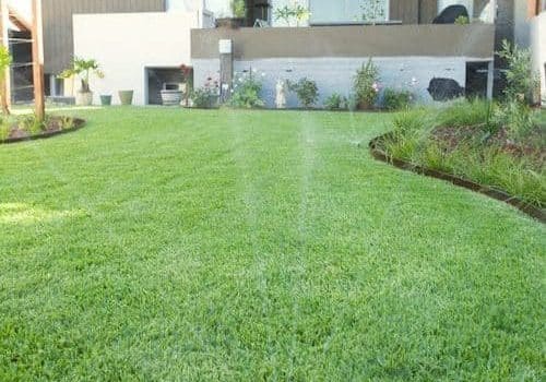 How to take care of my new lawn in Perth?