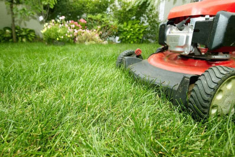 Lawn mowing tips and tricks - image of a red mower.
