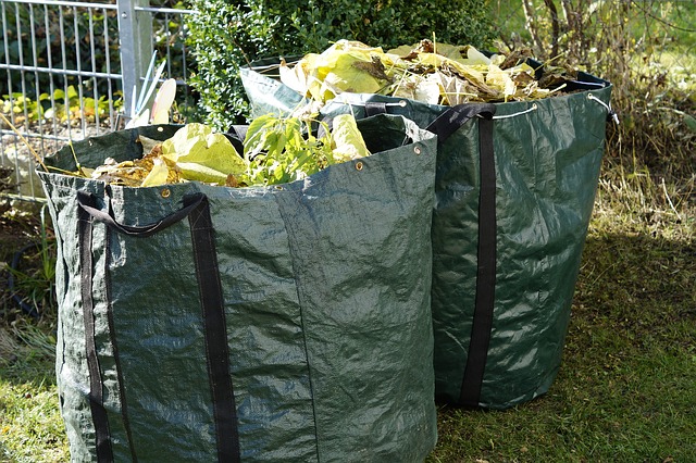 Green Waste Removal Guide for Perth Gardens