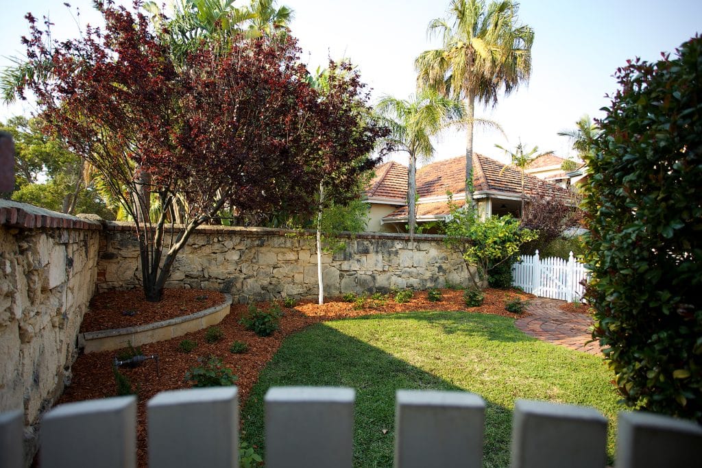 Garden maintenance service Mosman Park back garden