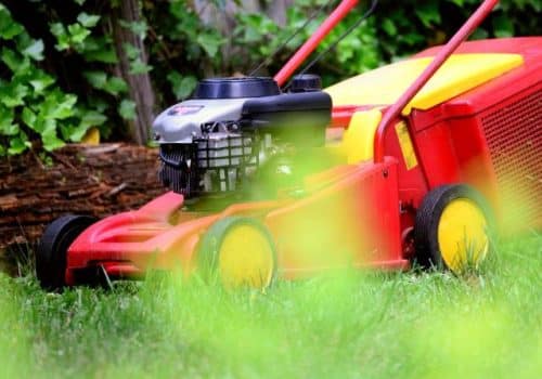 Guide for Maintaining your Lawn