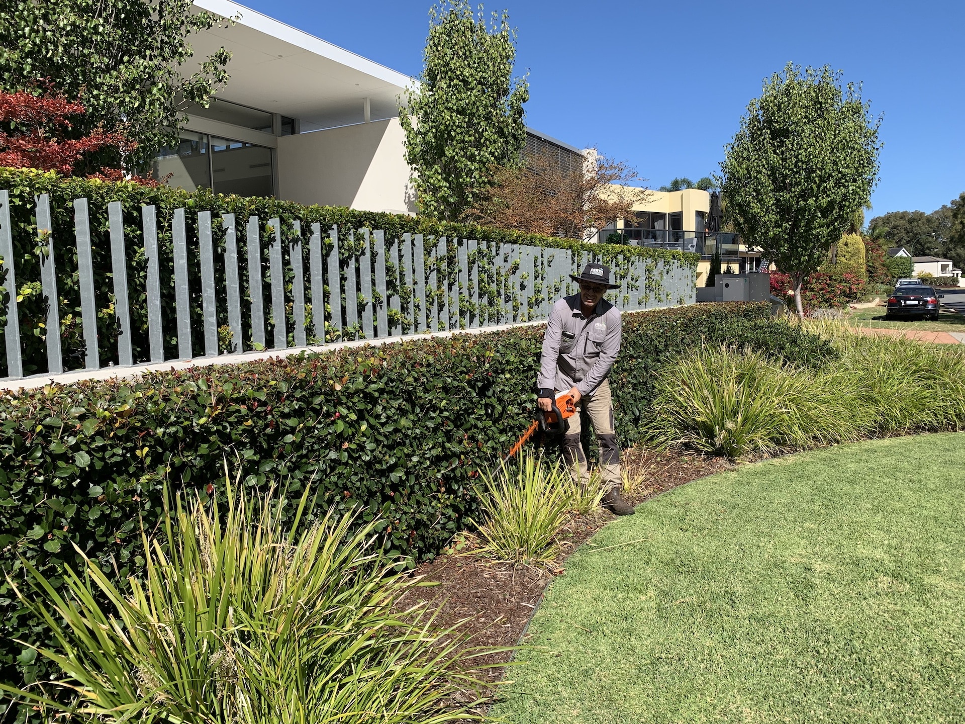 gardener hedging property in South Perth maintenance service