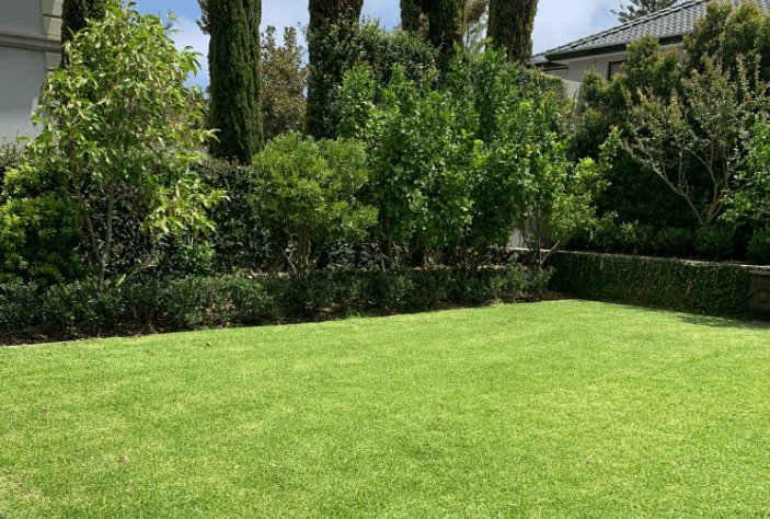 green waterwise garden and lawn perth