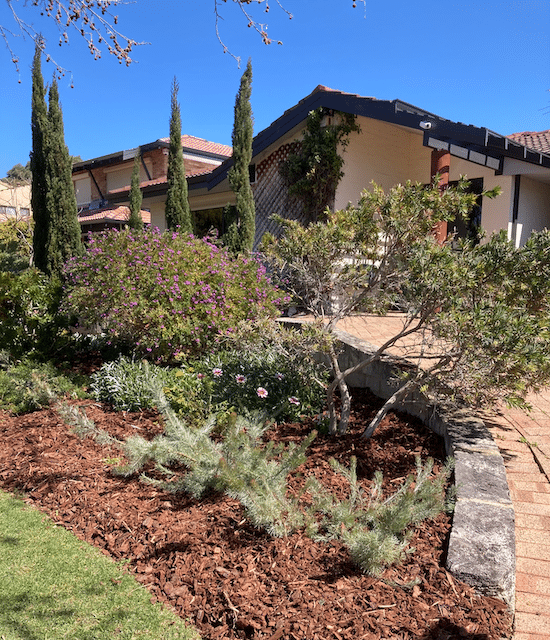 front garden after garden maintenance services in jandakot