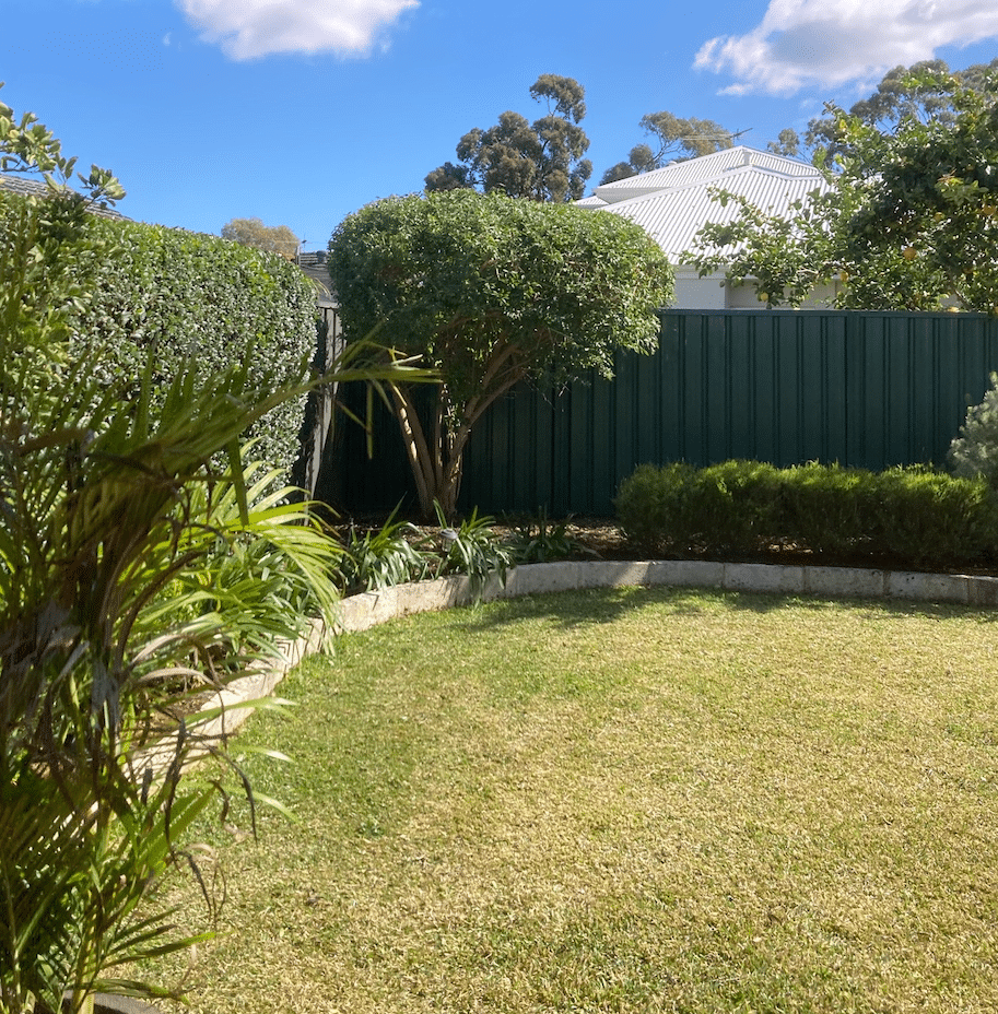 back garden hedges and lawn after gardening service
