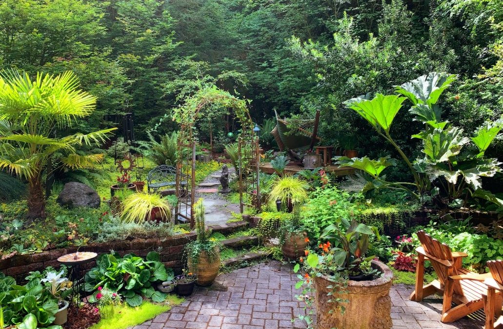 backyard garden featuring potted plants and a patio.