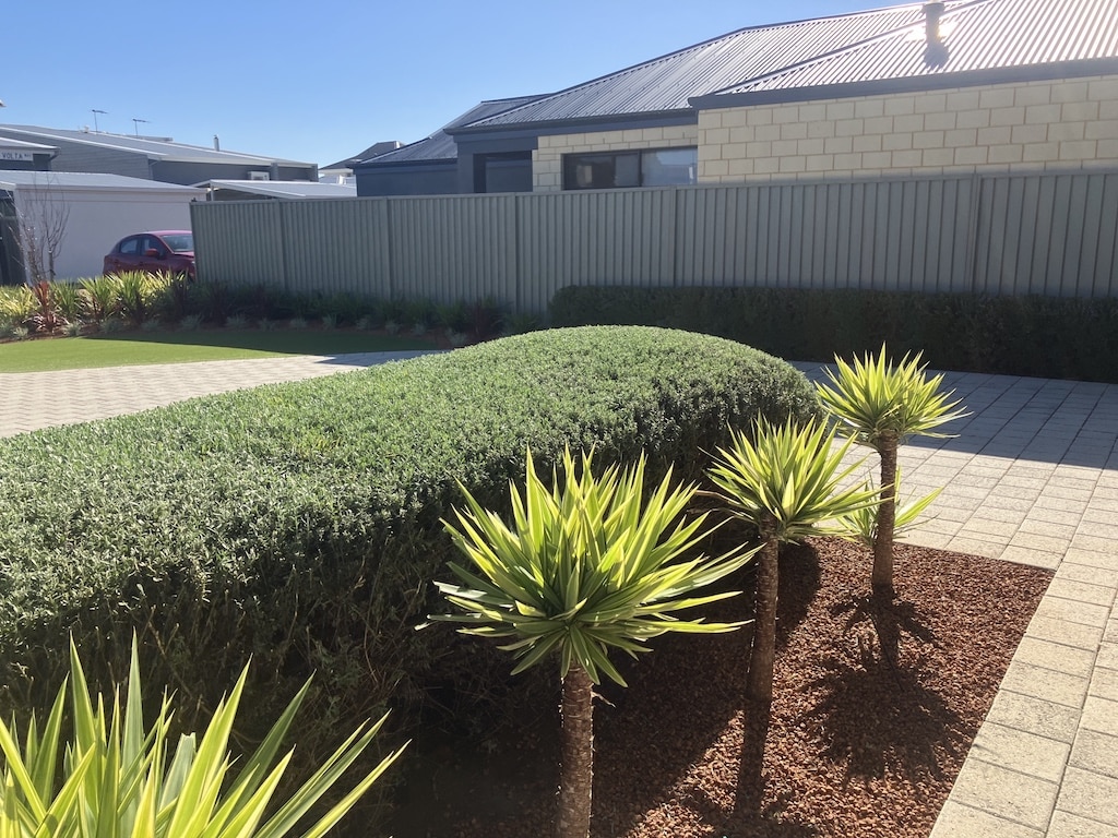 trimmed hedges and tidy front garden entrance