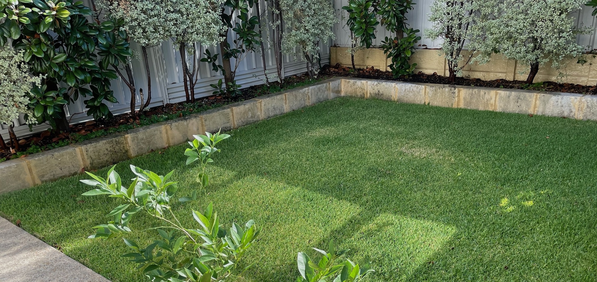 Gardening Services in Success Perth Gardening Experts