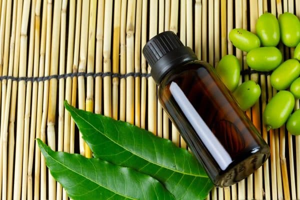 Neem oil used as an organic insecticidal spray for garden