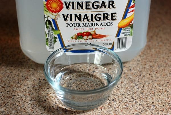 A gallon of vinegar as an ant repellent for garden