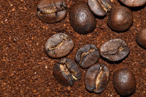 Coffee grounds used in the garden