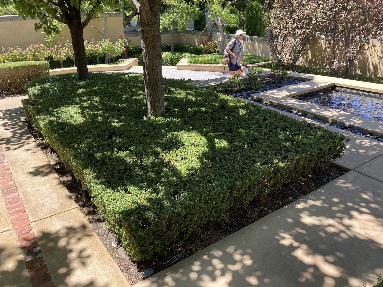 gardener providing gardening service in landscaped garden gardener providing gardening service in landscaped garden