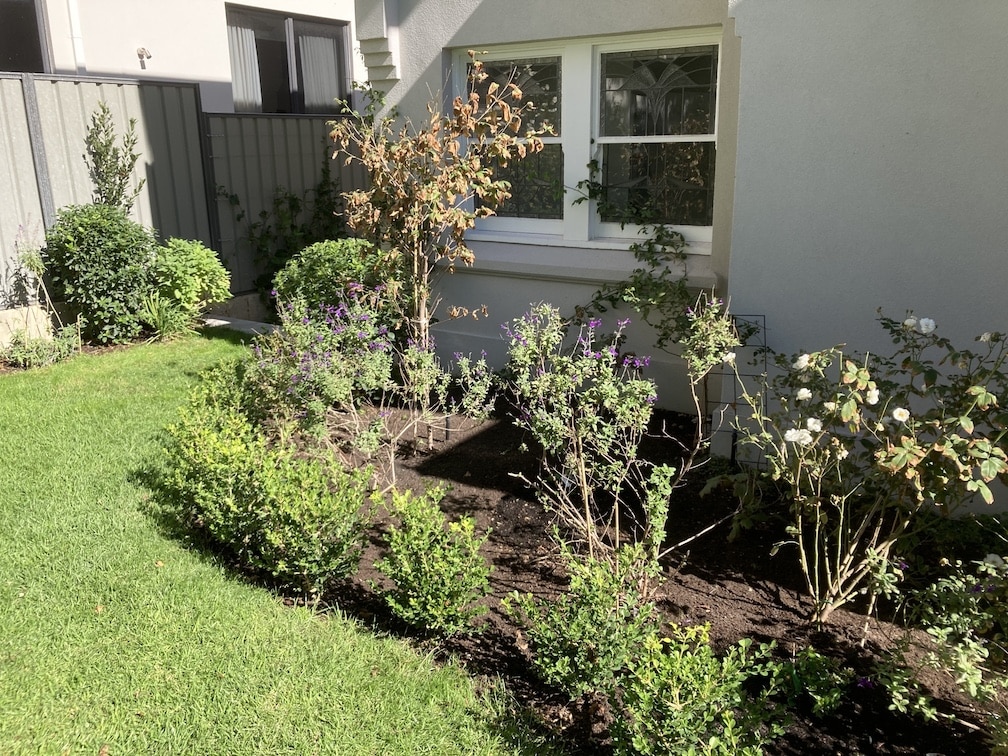 tidy garden beds and trimmed shrubs in front of house